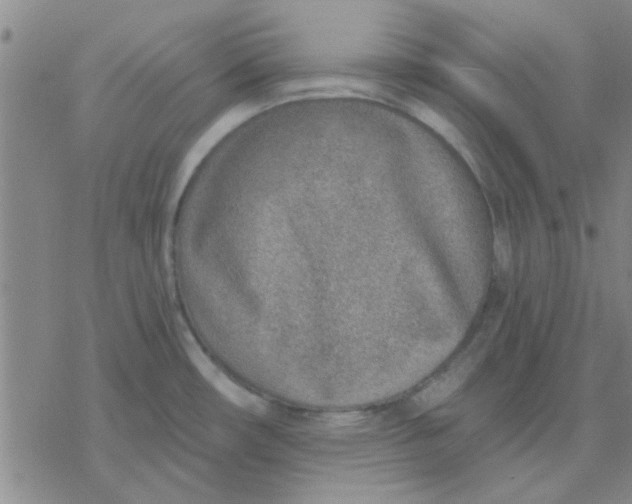 X0000076401482200610271605