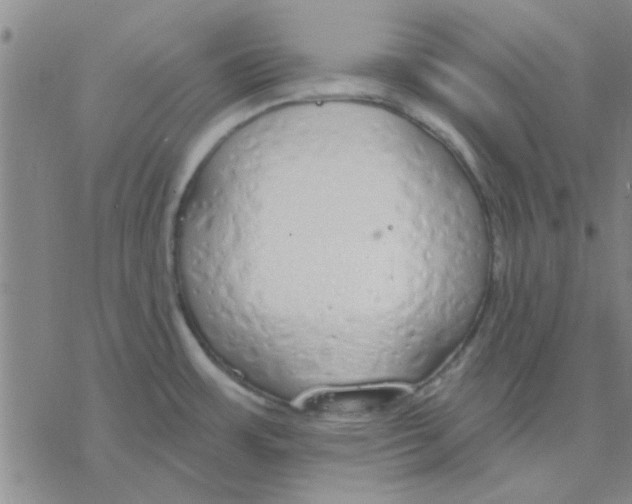 X0000076401483200610271605