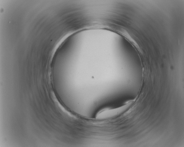 X0000076401484200610271605