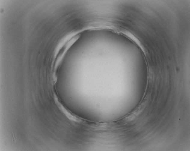 X0000076401485200610271605