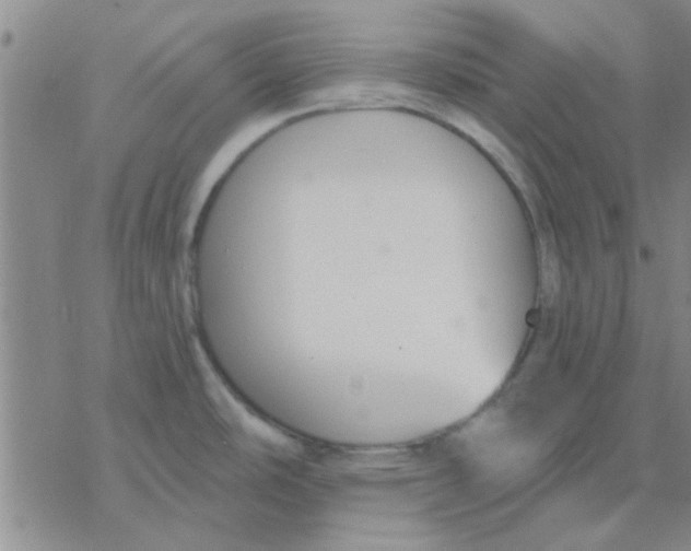 X0000076401486200610271605