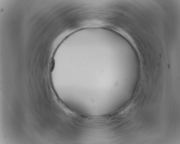 X0000076401488200610271605