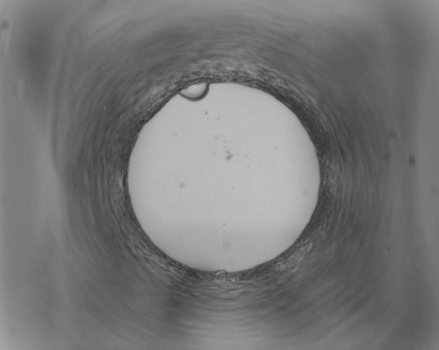 X0000076401489200610271604