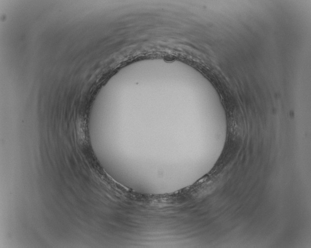 X0000076401490200610271604