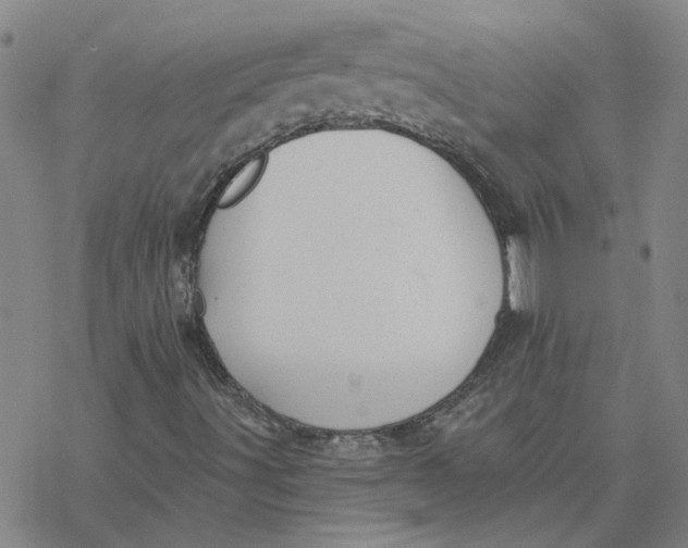 X0000076401491200610271604