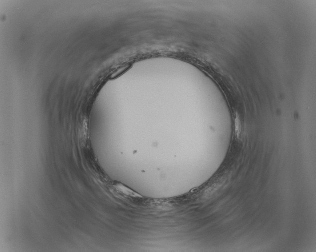 X0000076401492200610271604