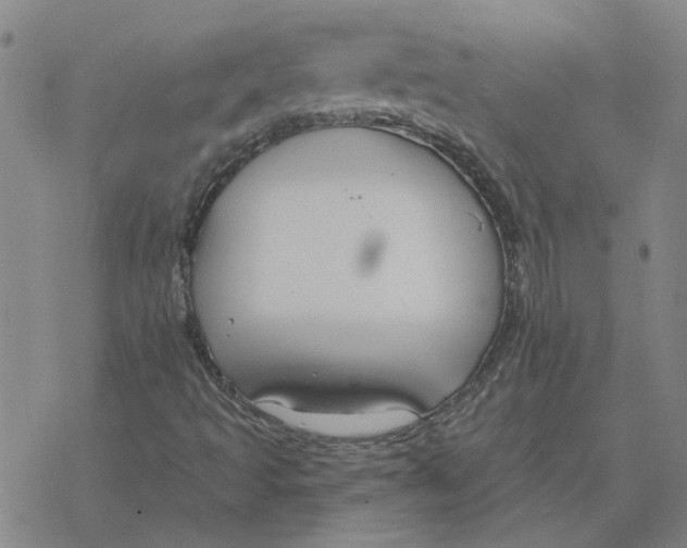 X0000076401493200610271604