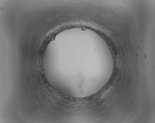 X0000076401494200610271604