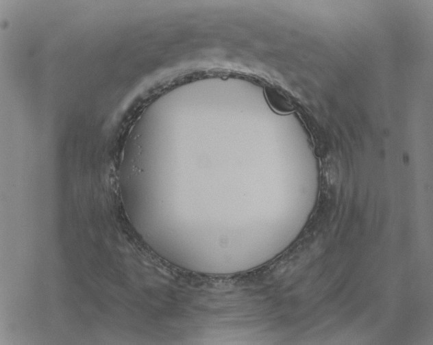 X0000076401495200610271604