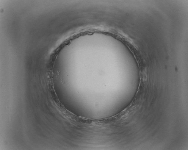 X0000076401496200610271605