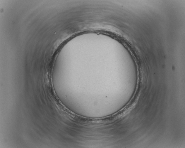 X0000076401497200610271605