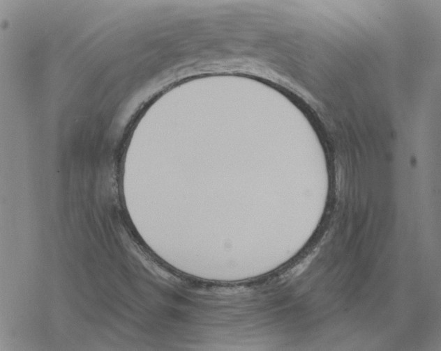 X0000076401498200610271605