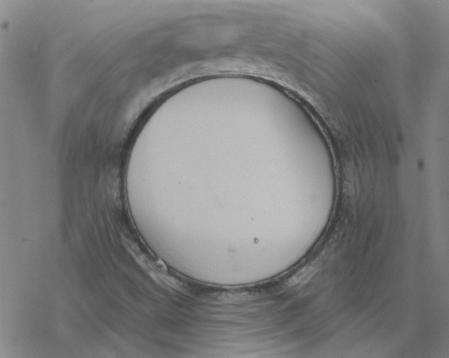 X0000076401499200610271605