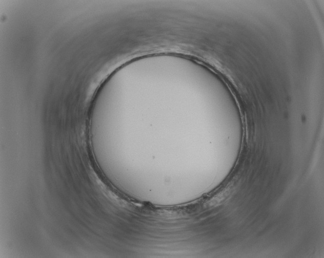 X0000076401500200610271605