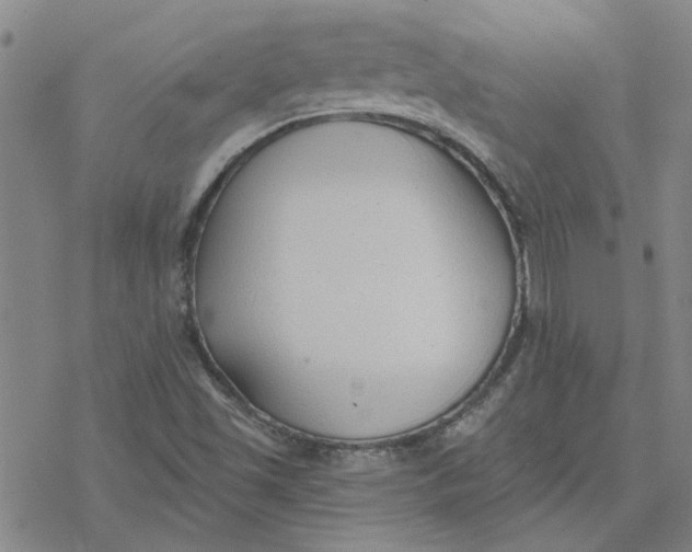 X0000076401501200610271605