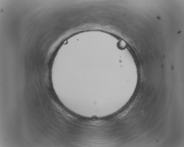 X0000076401502200610271605