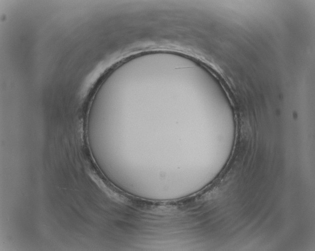 X0000076401503200610271605