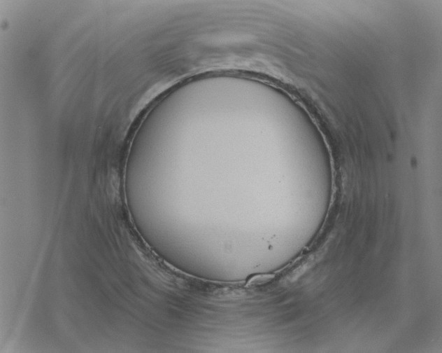 X0000076401505200610271605