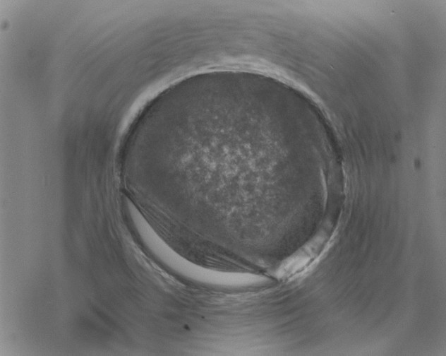 X0000076401506200610271605