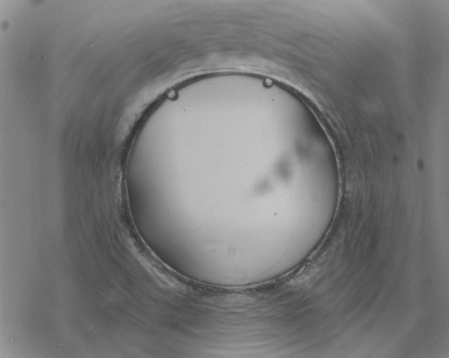 X0000076401507200610271605