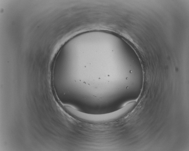 X0000076401508200610271605