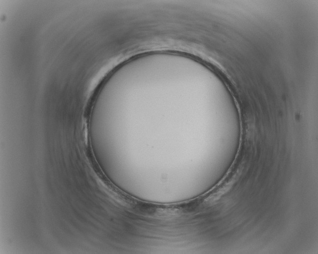 X0000076401509200610271605