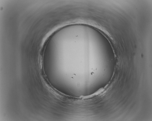 X0000076401510200610271605