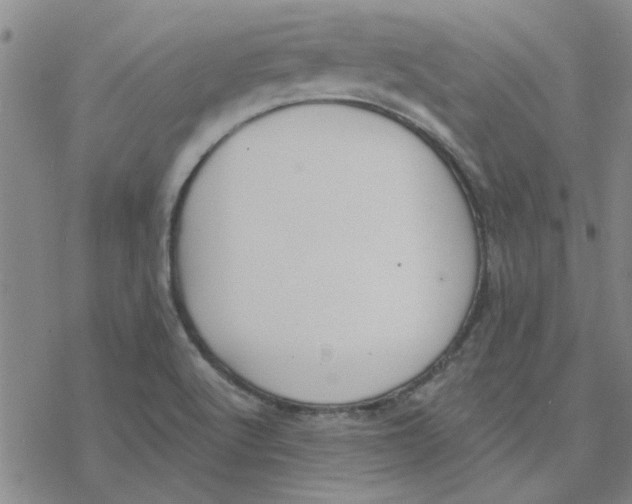 X0000076401512200610271605