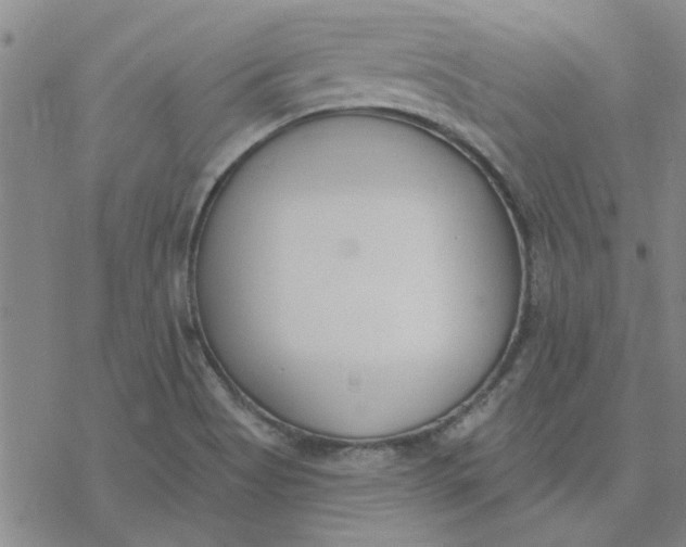 X0000076401513200610271605