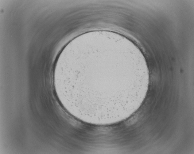 X0000076401514200610271605