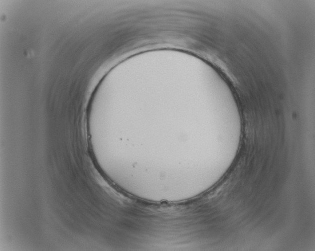 X0000076401516200610271605