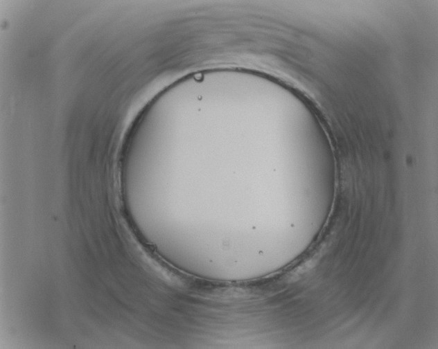 X0000076401517200610271605