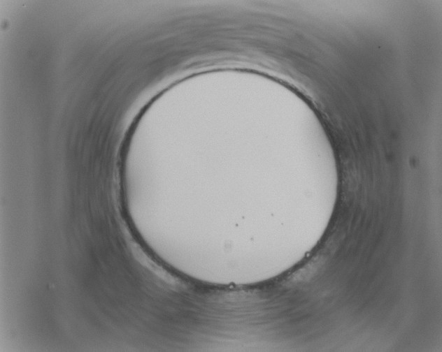 X0000076401518200610271605