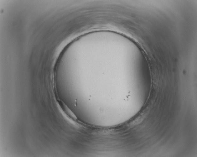 X0000076401519200610271605