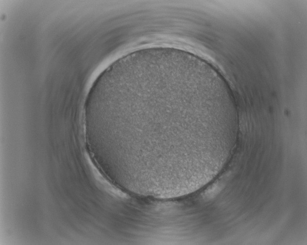 X0000076401522200610271605