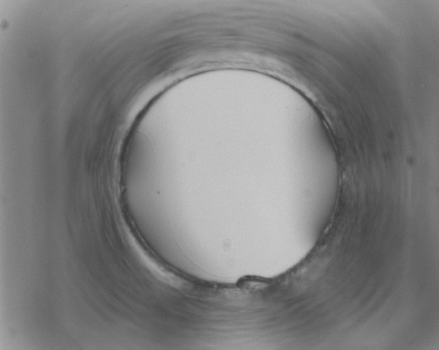 X0000076401523200610271605