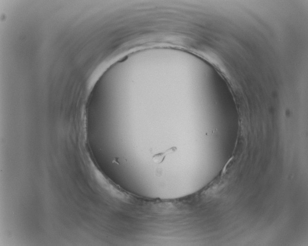 X0000076401524200610271605