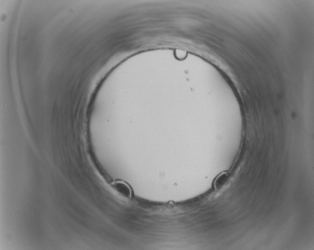 X0000076401525200610271605