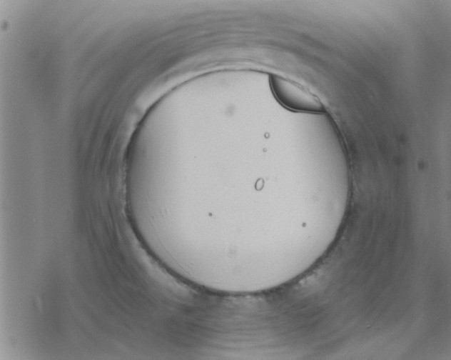 X0000076401526200610271605