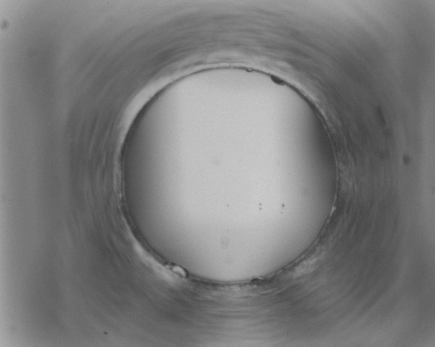 X0000076401527200610271605