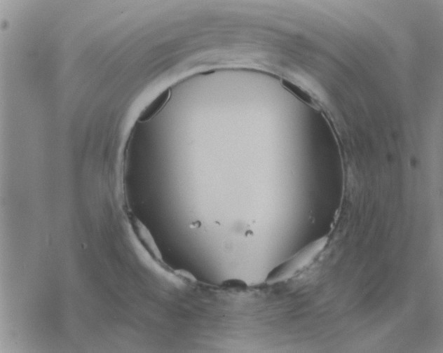 X0000076401528200610271605