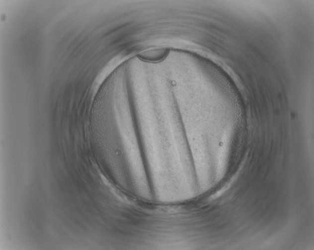 X0000076401529200610271605