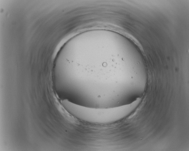 X0000076401530200610271605