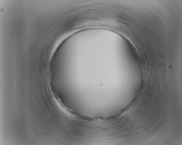 X0000076401531200610271605