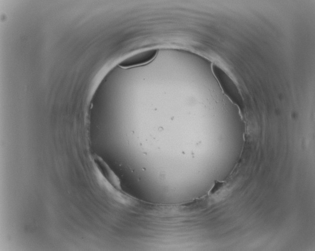 X0000076401532200610271605