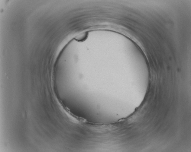 X0000076401533200610271605