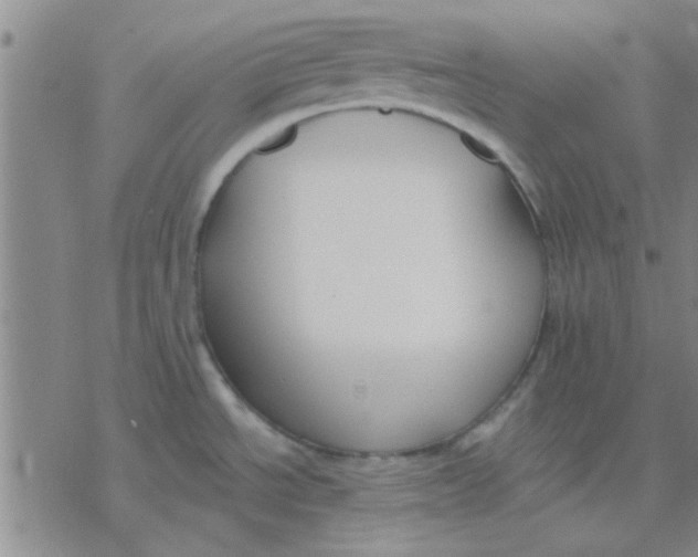 X0000076401534200610271605