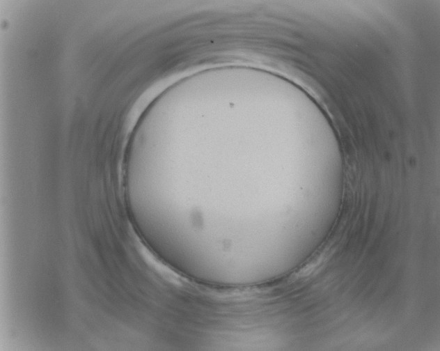 X0000076401535200610271605