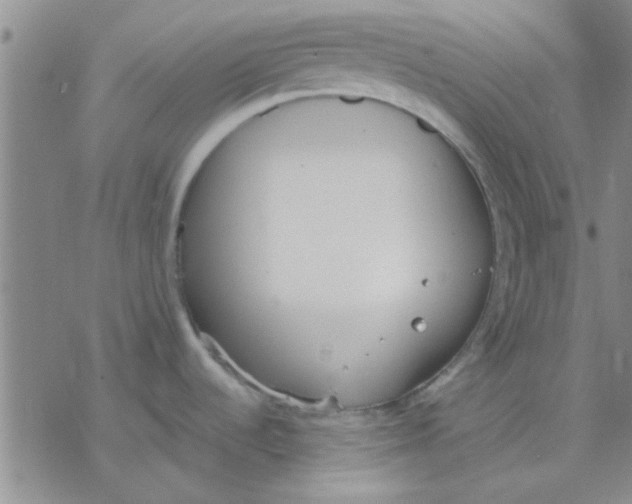 X0000076401536200610271605