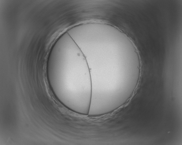 X0000076400001200611031734